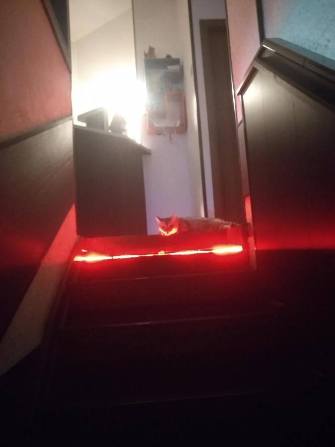 Sakura Inn Fergana Exteriör bild